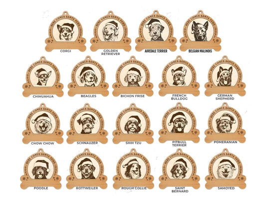Custom Dog Breed