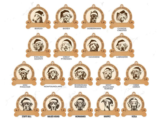 Custom Dog Breed